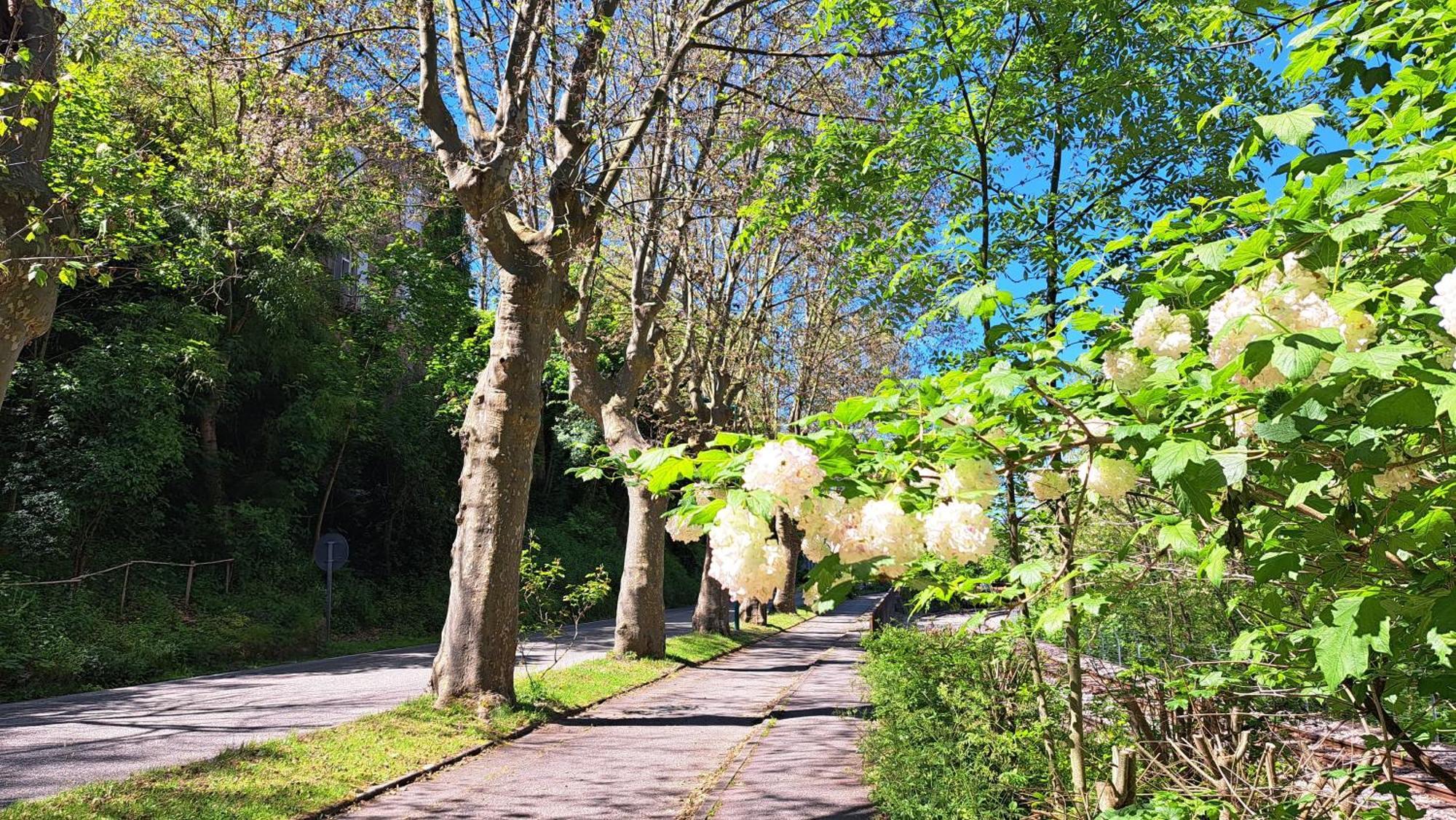 Villa Du Doubs Au Doux Lamastre Exterior foto